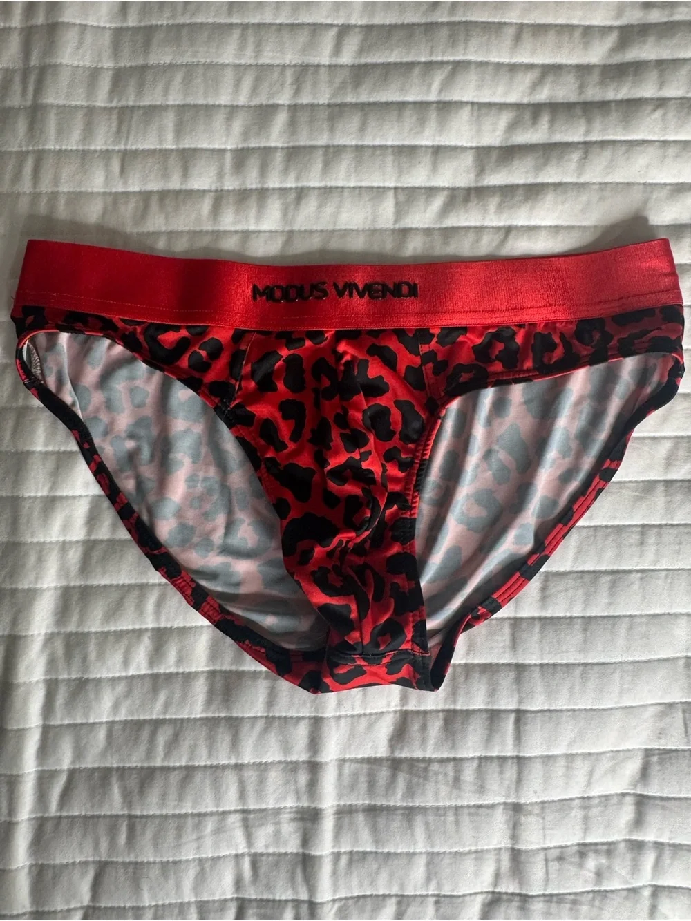 MODUS VIVENDI Red Leopard-Print Men's Brief with Contour Pouch